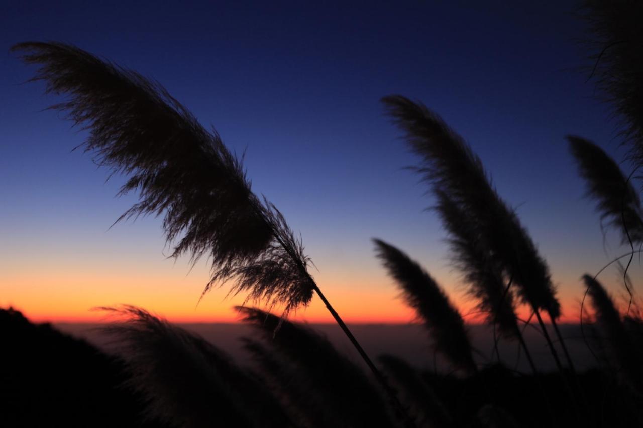 Panorama Suite El Mirador Puntagorda Zewnętrze zdjęcie